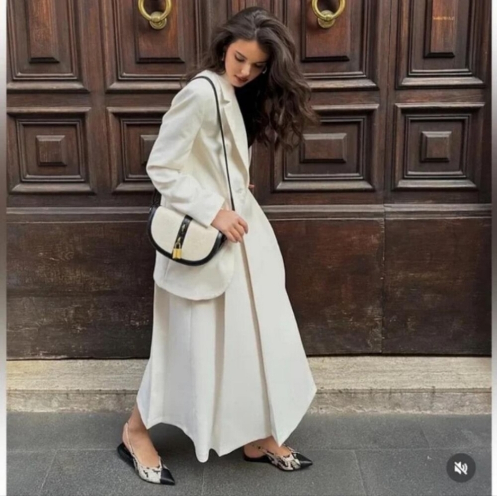 Zara Box Pleated Skirt - Picture 4 of 11